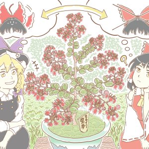 Reimu Marisa Lagerstroemia indica