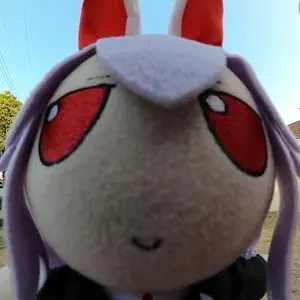 reisen.webp.jpg