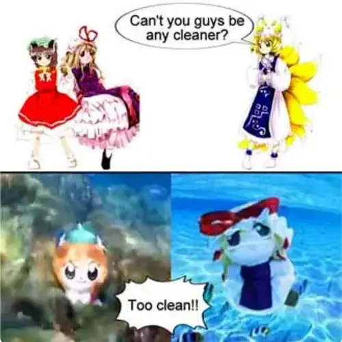 tohuo clean