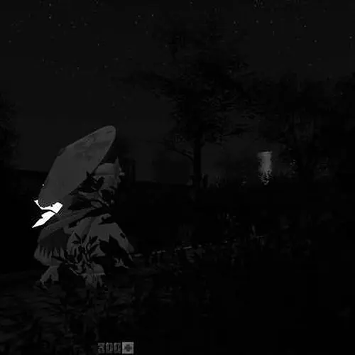 Moonlit Walk No. 2