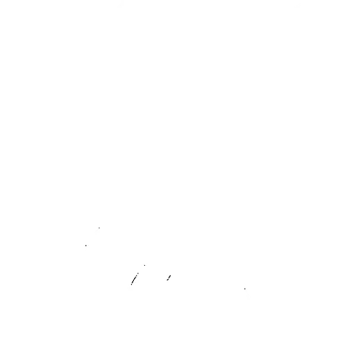 Lily White