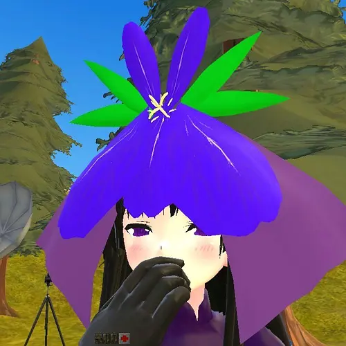 Hisami Portrait